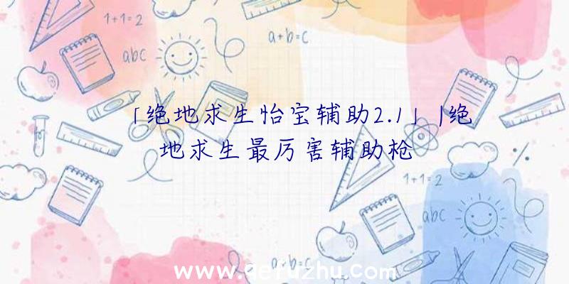 「绝地求生怡宝辅助2.1」|绝地求生最厉害辅助枪